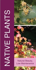 Native Plants 18x36 - Bold