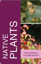 Native Plants 24x36 - Bold