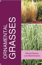 Ornamental Grasses 24x36 - Bold