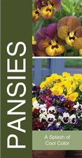 Pansies 18