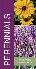 Perennials 18x36 - Bold