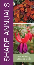 Shade Annuals 18