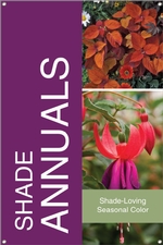 Shade Annuals 24