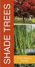 Shade Trees 18x36 - Bold