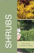 Shrubs 24