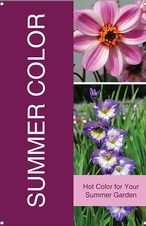 Summer Color 24