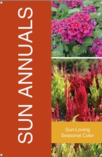 Sun Annuals 24