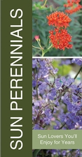 Sun Perennials 18x36 - Bold