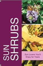 Sun Shrubs 24