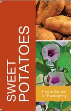 Sweet Potatoes 24