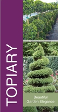 Topiary 18