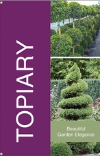 Topiary 24