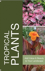 Tropical Plants 24