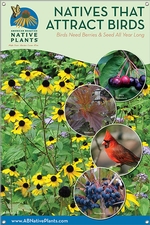 Native Plants That Attract Birds-MIDWEST/E. GREAT PLAINS 24