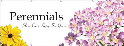 Perennials 8ft x 3ft - Traditional