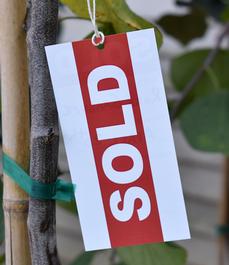 SOLD Hang Tags