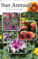 Sun Annuals 24