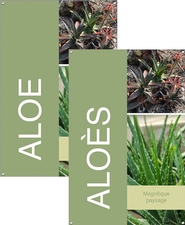 Aloe/Aloès 24x36 - Bold