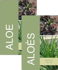 Aloe/Aloès 24