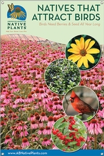 Native Plants That Attract Birds-SOUTHEAST 24