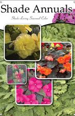 Shade Annuals 24x36 - Traditional