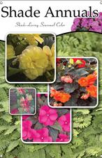 Shade Annuals 24