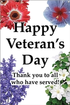 Happy Veteran's Day 24