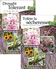 Drought Tolerant/Tolère la sécheresse 24