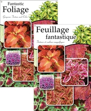Fantastic Foliage/Feuillage fantastique 24