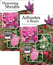 Flowering Shrubs/Arbustes à fleurs 24