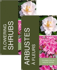 Flowering Shrubs/Arbustes à fleurs 24