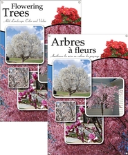 Flowering Trees/Arbres à fleurs 24