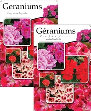 Geraniums/Géraniums 24