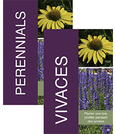 Perennials/Vivaces 24