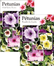 Petunias/Pétunias 24