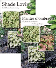 Shade Loving/Plantes d'ombrages 24