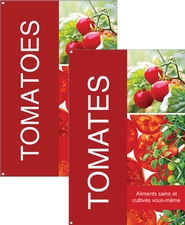 Tomatoes/Tomates 24