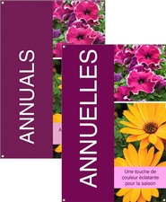 Annuals/Annuelles 24x36 - Bold