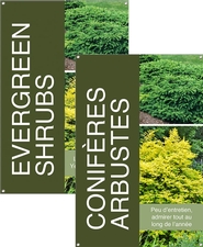 Evergreen Shrubs/Conifères arbustes 24