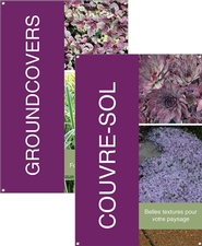 Groundcovers/Couvre-sol 24