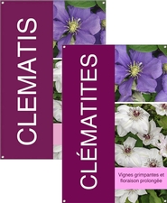 Clematis/Clématites 24