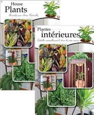 House Plants/Plantes intérieures 24