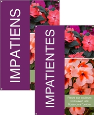 Impatiens/Impatientes 24