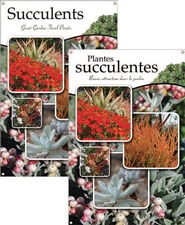 Succulents/Plantes succulentes 24