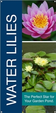 Water Lilies 18