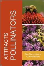 Attracts Pollinators 24