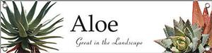 Aloe 47x12 - Traditional