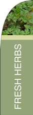 Fresh Herbs Feather Flag-Bold