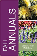 Fall Annuals 24x36 - Bold