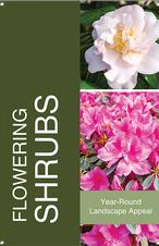 Flowering Shrubs 24